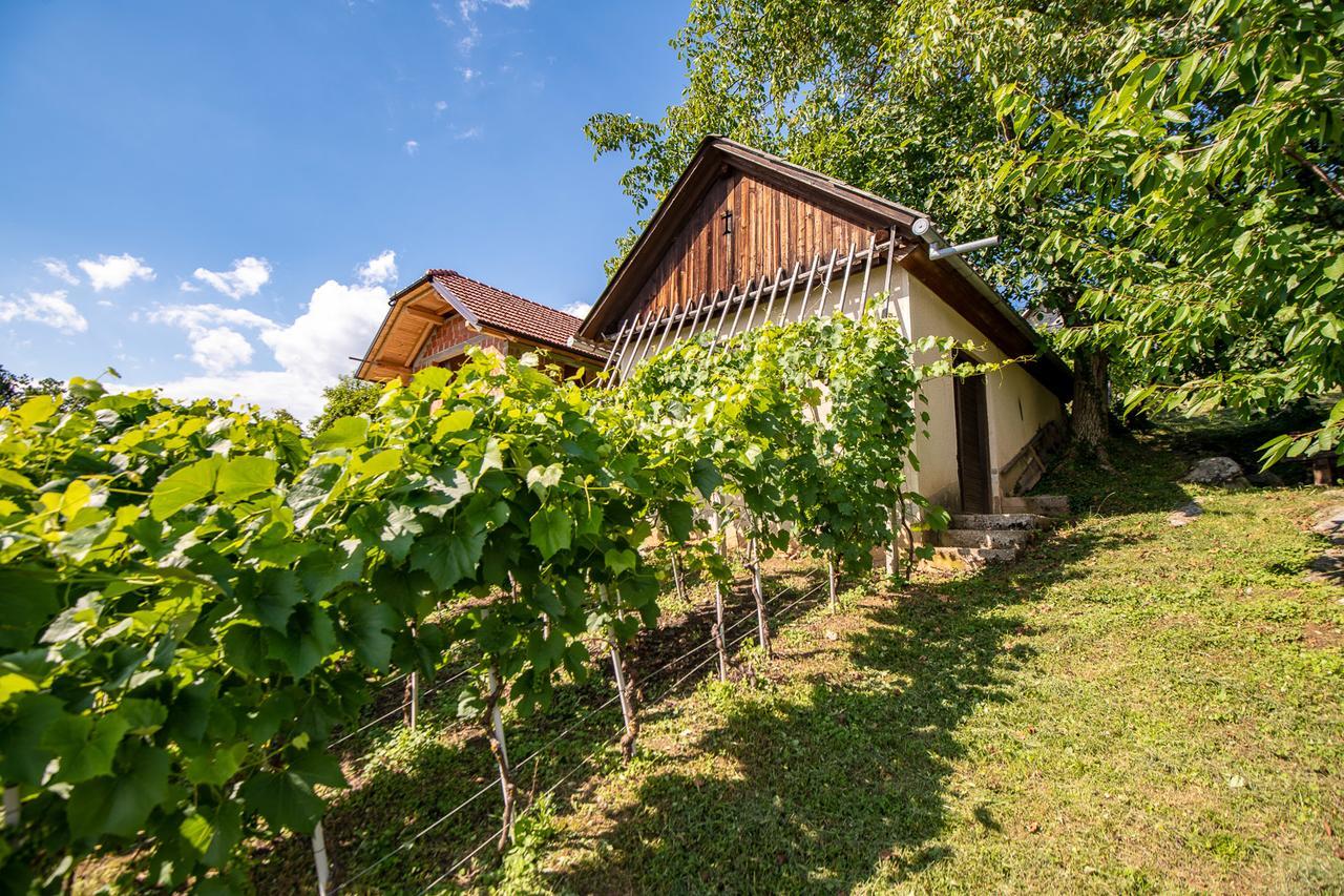Vineyard Cottage Pod Piramido Dobrnic Exterior foto